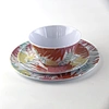 summer melamine dinnerware